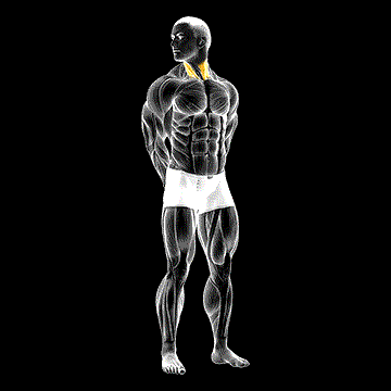 Rotating Neck Stretch demonstration