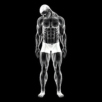 Diagonal Flexion Neck Stretch demonstration