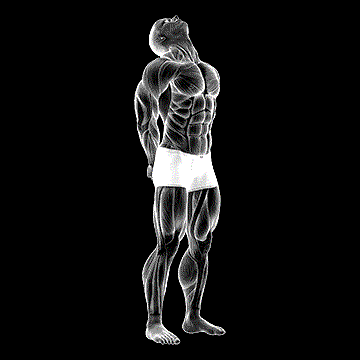 Neck Extension Stretch demonstration