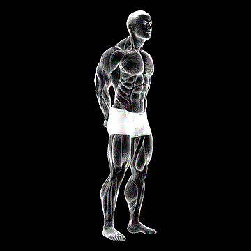 Neck Protraction Stretch demonstration