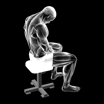 Sitting Neck Flexion Stretch demonstration