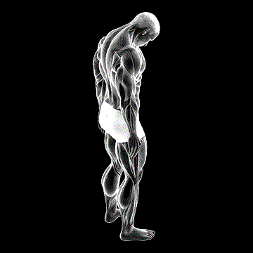 Forward Flexion Neck Stretch demonstration