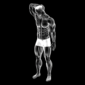 Neck Extensor And Rotational Stretch demonstration