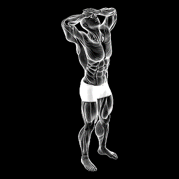Neck Flexor Stretch demonstration