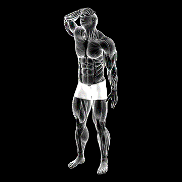 Neck Flexor And Rotational Stretch demonstration