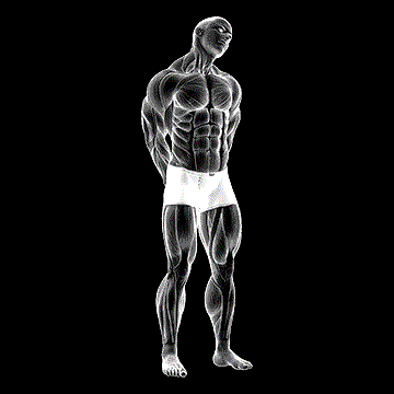 Extension And Inclination Neck Stretch demonstration