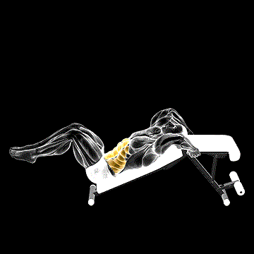 Decline Bent-Leg Reverse Crunch demonstration