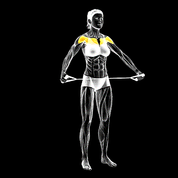 Band Warm-up Shoulder Stretch demonstration