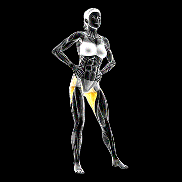 Hip Circles Stretch demonstration