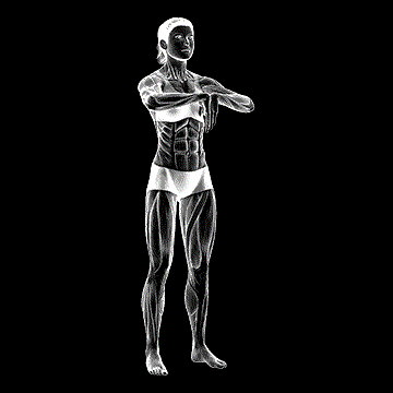 Wrist Extensor Stretch demonstration