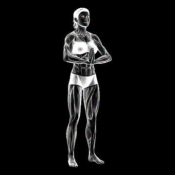 Wrist Flexor Stretch demonstration