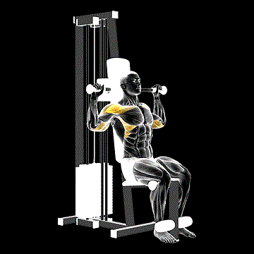 Lever Cable Shoulder Press demonstration