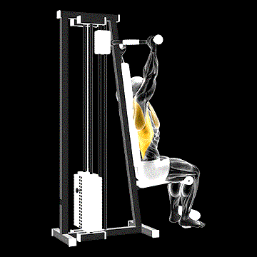 Lever Cable Rear Pulldown demonstration