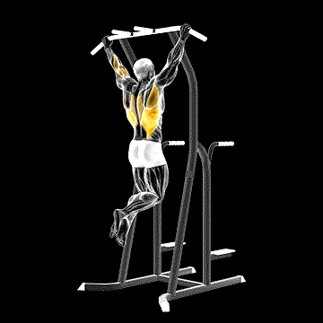 Wide-Grip Pull-Up on Dip Cage demonstration