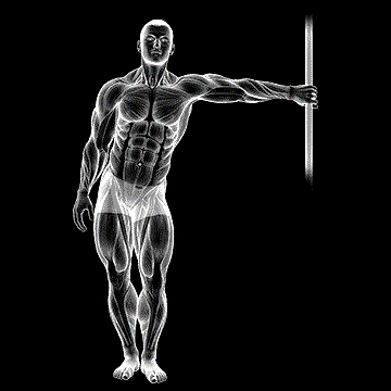 Leaning Abductor Stretch demonstration