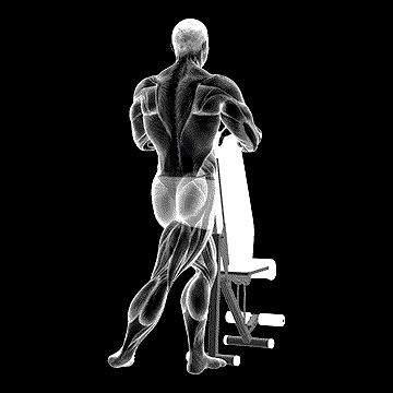 Standing Leg Under Abductor Stretch demonstration