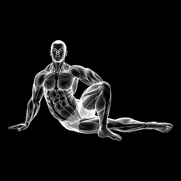 Lying Abductor Stretch demonstration