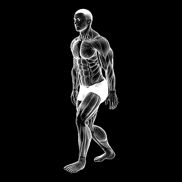 Standing Heel-Back Achilles Stretch demonstration