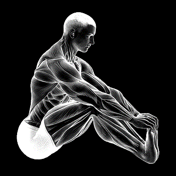 Sitting Toe Pull Achilles Stretch demonstration