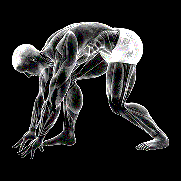 Crouching Heel-Back Achilles Stretch demonstration
