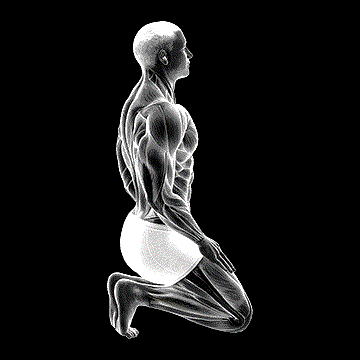 Toe Squat Stretch demonstration