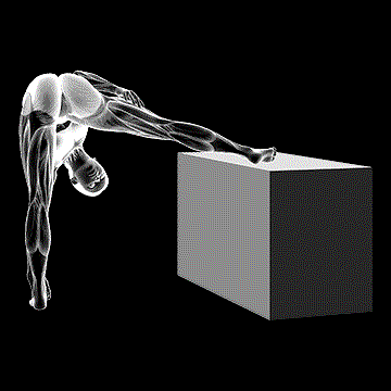 Standing Raised Leg Hip Adductor Stretch demonstration