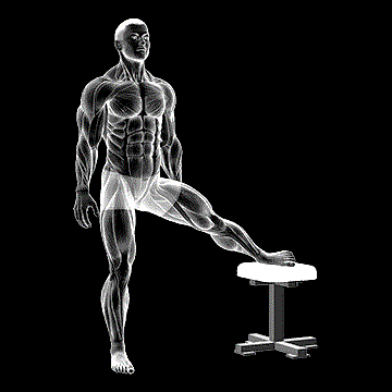 Standing Leg-up Adductor Stretch demonstration