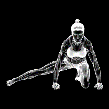 Kneeling Leg Out Adductor Stretch demonstration