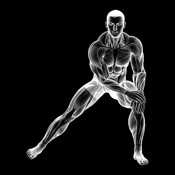 Side Lunge Adductor Stretch demonstration