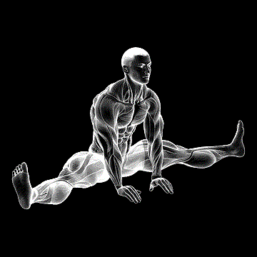 Sitting Wide-Leg Adductor Stretch demonstration
