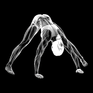 Standing Wide-Leg Adductor Stretch demonstration