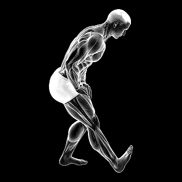 Standing Toe-Up Hamstring Stretch demonstration