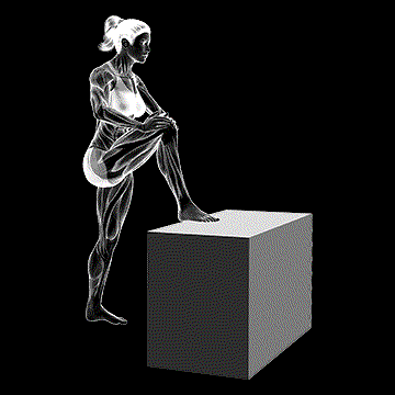 Standing High Leg Bent Knee Hamstring Stretch demonstration