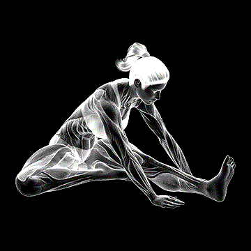 Seated Hip External Rotator And Hip Extensor Stretch demonstration