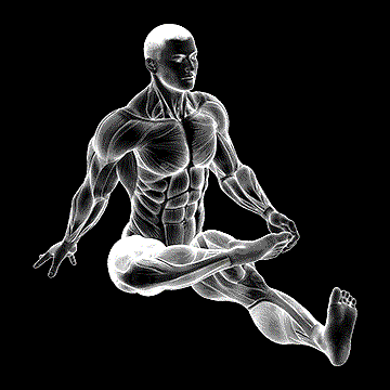 Plantar Flexion Stretch demonstration