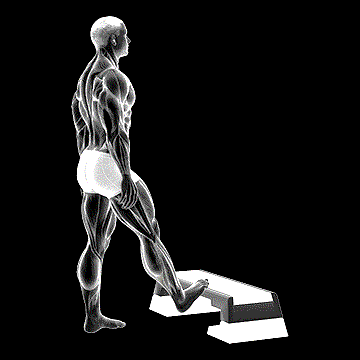 Standing Toe-Up Calf Stretch demonstration