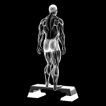 Plantar Flexor And Foot Inverter Stretch demonstration