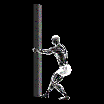Tibial Stretch (w/ Semi Flexed Knee) demonstration
