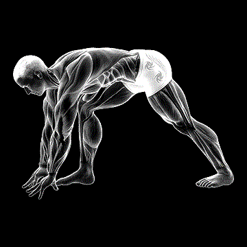 Crouching Heel Back Calf Stretch demonstration