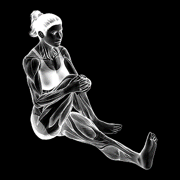 Seated Bent-Knee To Chest Buttock Stretch demonstration