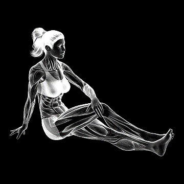 Seated Hip Stretch (w/ Slightly Bent Leg) demonstration
