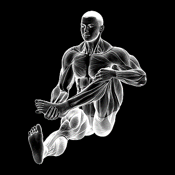 Sitting Foot-To-Chest Buttocks Stretch demonstration