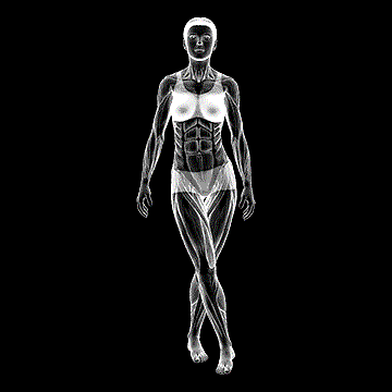 Standing Iliotibial Stretch demonstration
