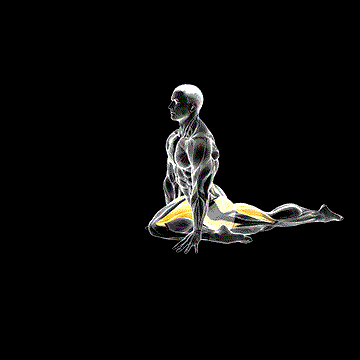 Pigeon Hip Stretch demonstration