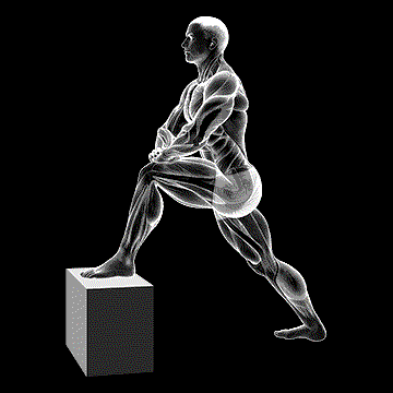 Standing Hip Flexor Stretch demonstration