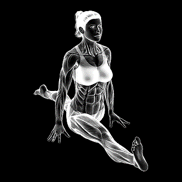 Flexion And Extension Hip Stretch demonstration