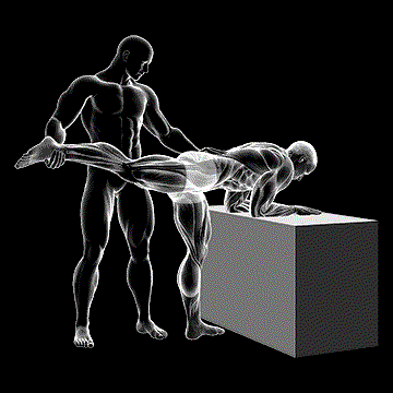 Assisted One-Leg Extension demonstration