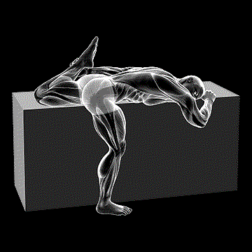 Quadriceps Stretch On Box demonstration