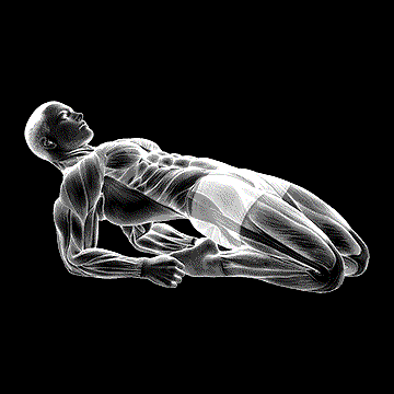 Double Lean-Back Quadriceps Stretch demonstration