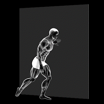 Standing Shin Stretch demonstration
